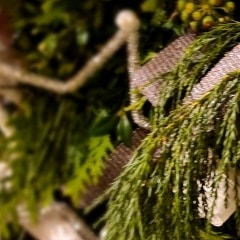 zum_edengarten_advent_2020_57