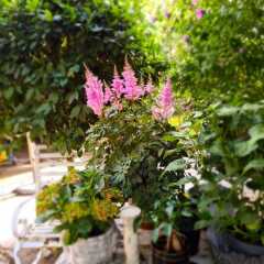 2020_08_Edengarten_1
