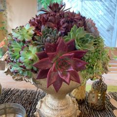 1_zum-Edengarten_2020_Pfingsten_4