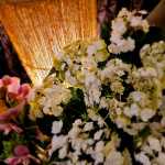 2020_09_Edengarten_36