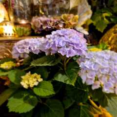 2020_09_Edengarten_15