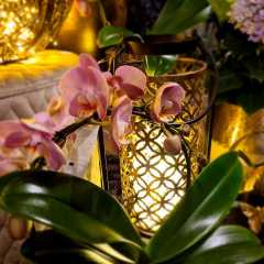 2020_09_Edengarten_22