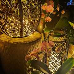 2020_09_Edengarten_24