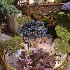 2020_09_Edengarten_25