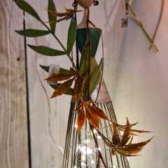 2020_09_Edengarten_53