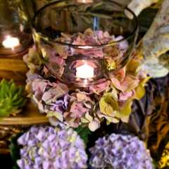 2020_09_Edengarten_8