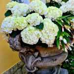 00009_2021_sommer_zum-edengarten