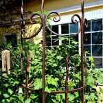 00019_2021_sommer_zum-edengarten