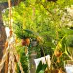 00024_2021_sommer_zum-edengarten