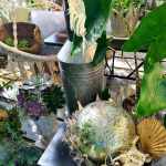 00026_2021_sommer_zum-edengarten