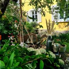 00004_2021_sommer_zum-edengarten