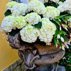 00009_2021_sommer_zum-edengarten