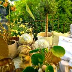 00014_2021_sommer_zum-edengarten