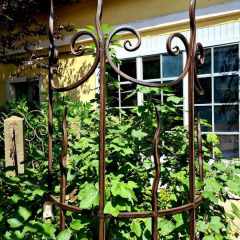 00019_2021_sommer_zum-edengarten