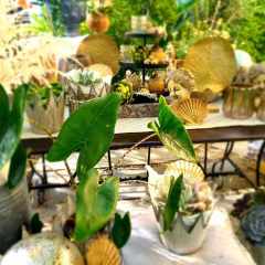 00020_2021_sommer_zum-edengarten