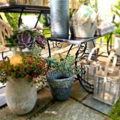 00021_2021_sommer_zum-edengarten