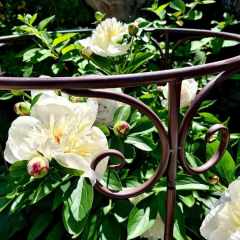 00023_2021_sommer_zum-edengarten