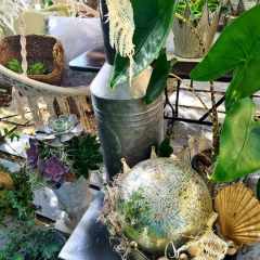 00026_2021_sommer_zum-edengarten