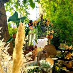 00036_2021_sommer_zum-edengarten