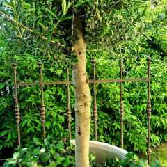 00041_2021_sommer_zum-edengarten