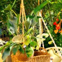 00045_2021_sommer_zum-edengarten
