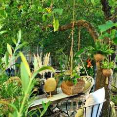 00048_2021_sommer_zum-edengarten