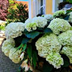 00057_2021_sommer_zum-edengarten