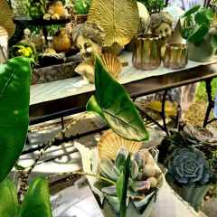 00061_2021_sommer_zum-edengarten
