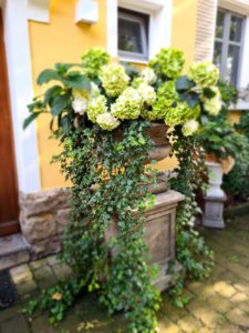 Edengarten Bild August 2020