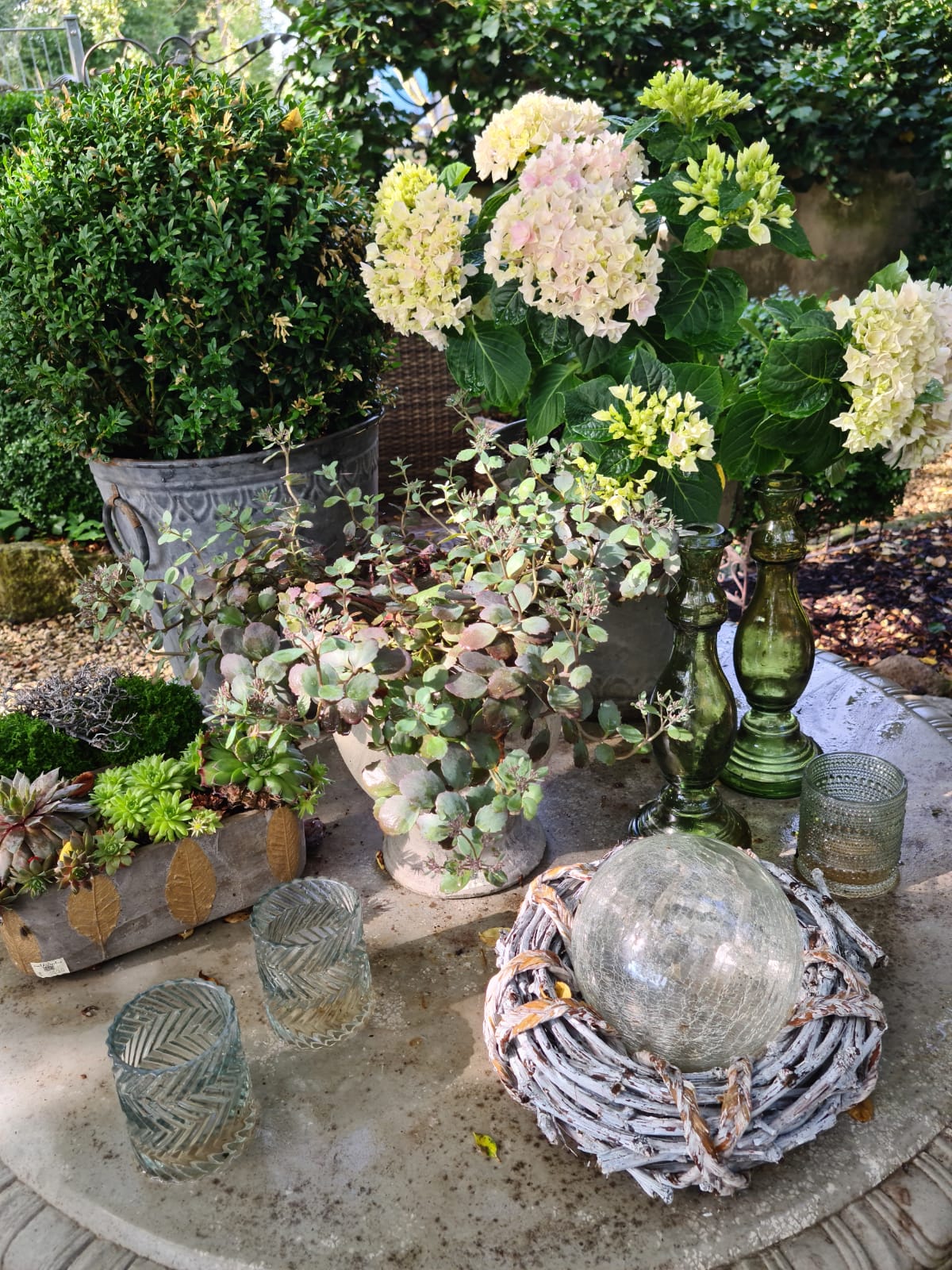 2020_08_Edengarten_7