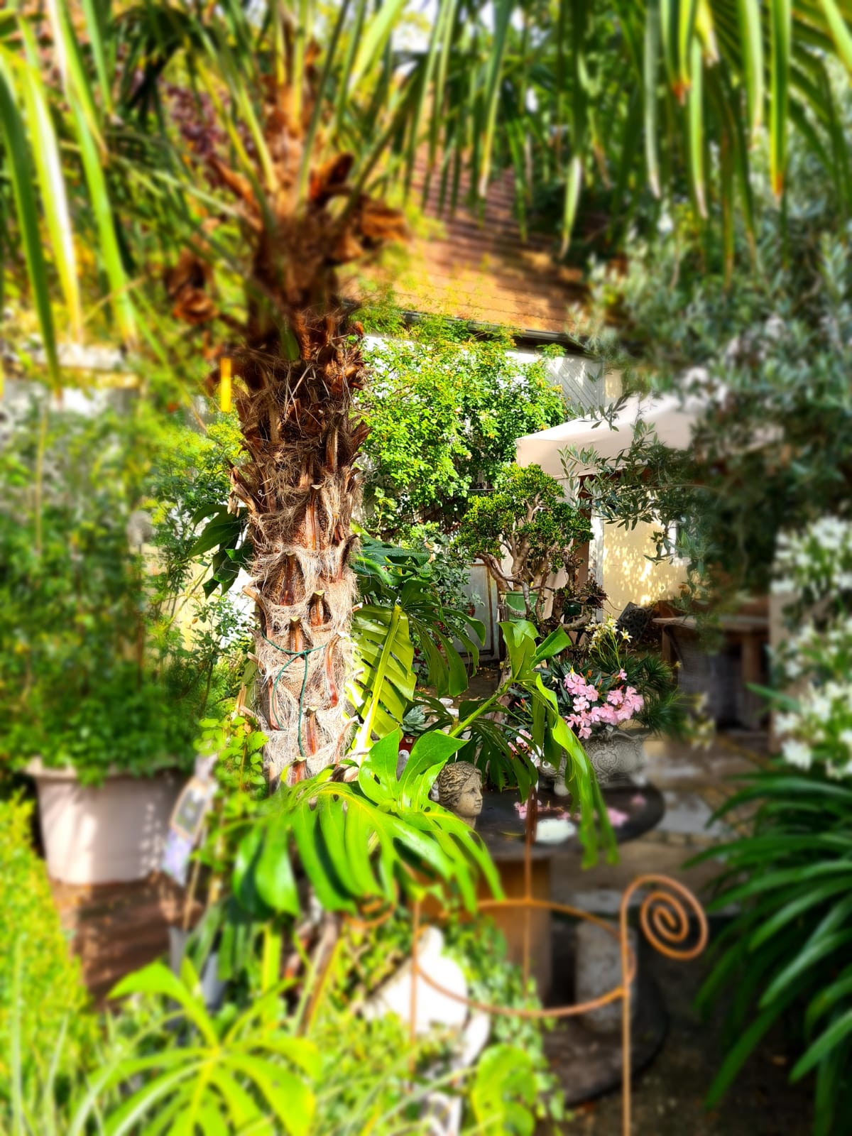 2020_08_Edengarten_8