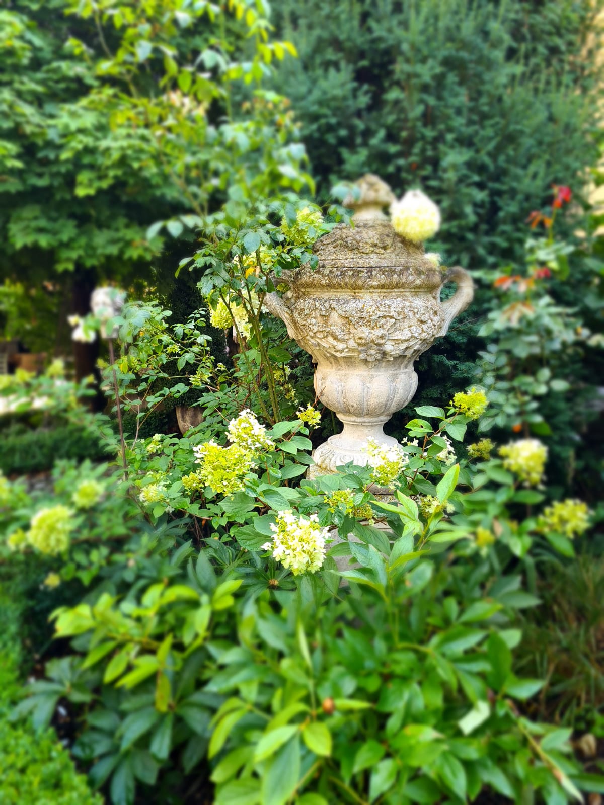 2020_08_Edengarten_9