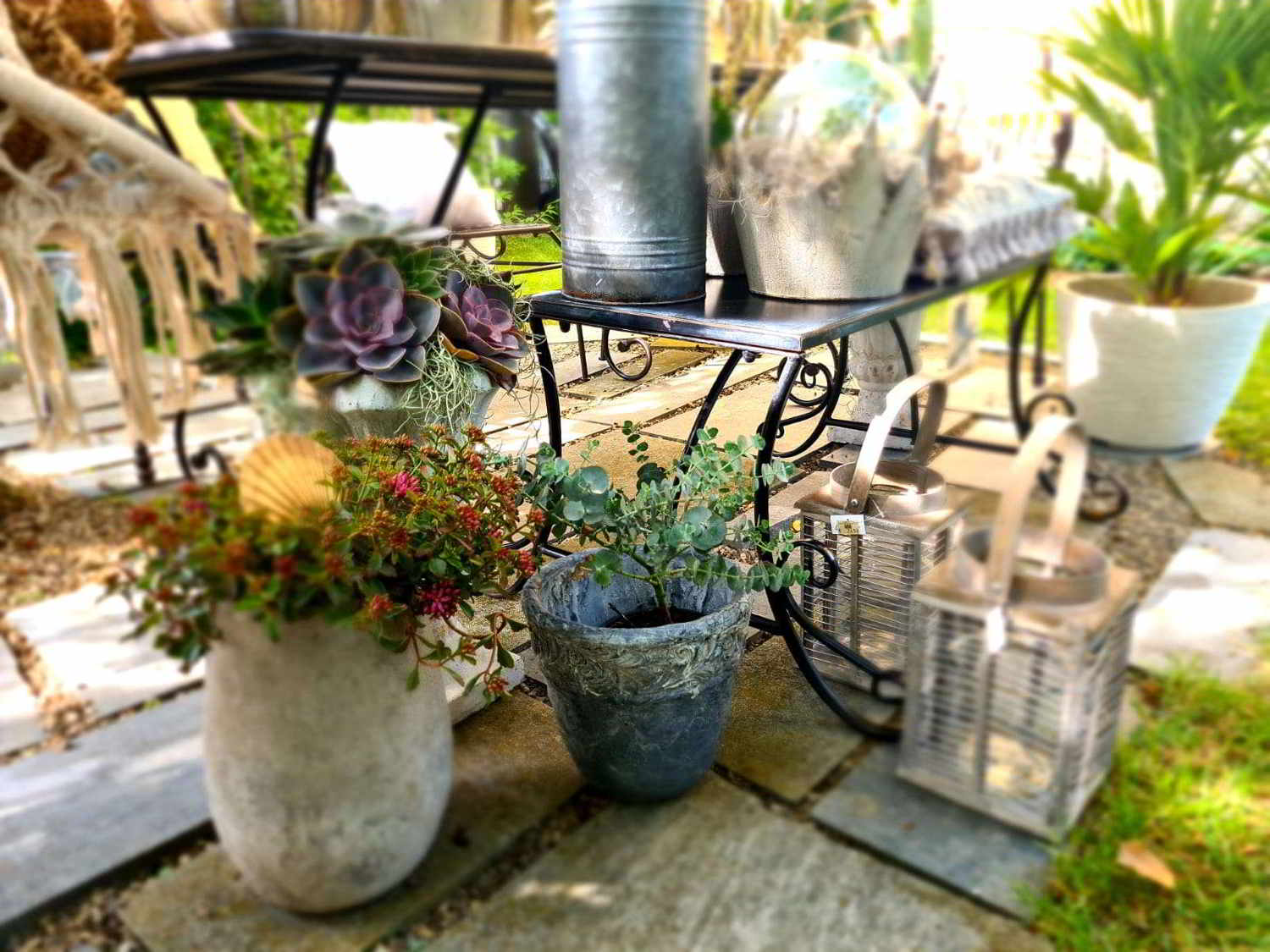 00021_2021_sommer_zum-edengarten